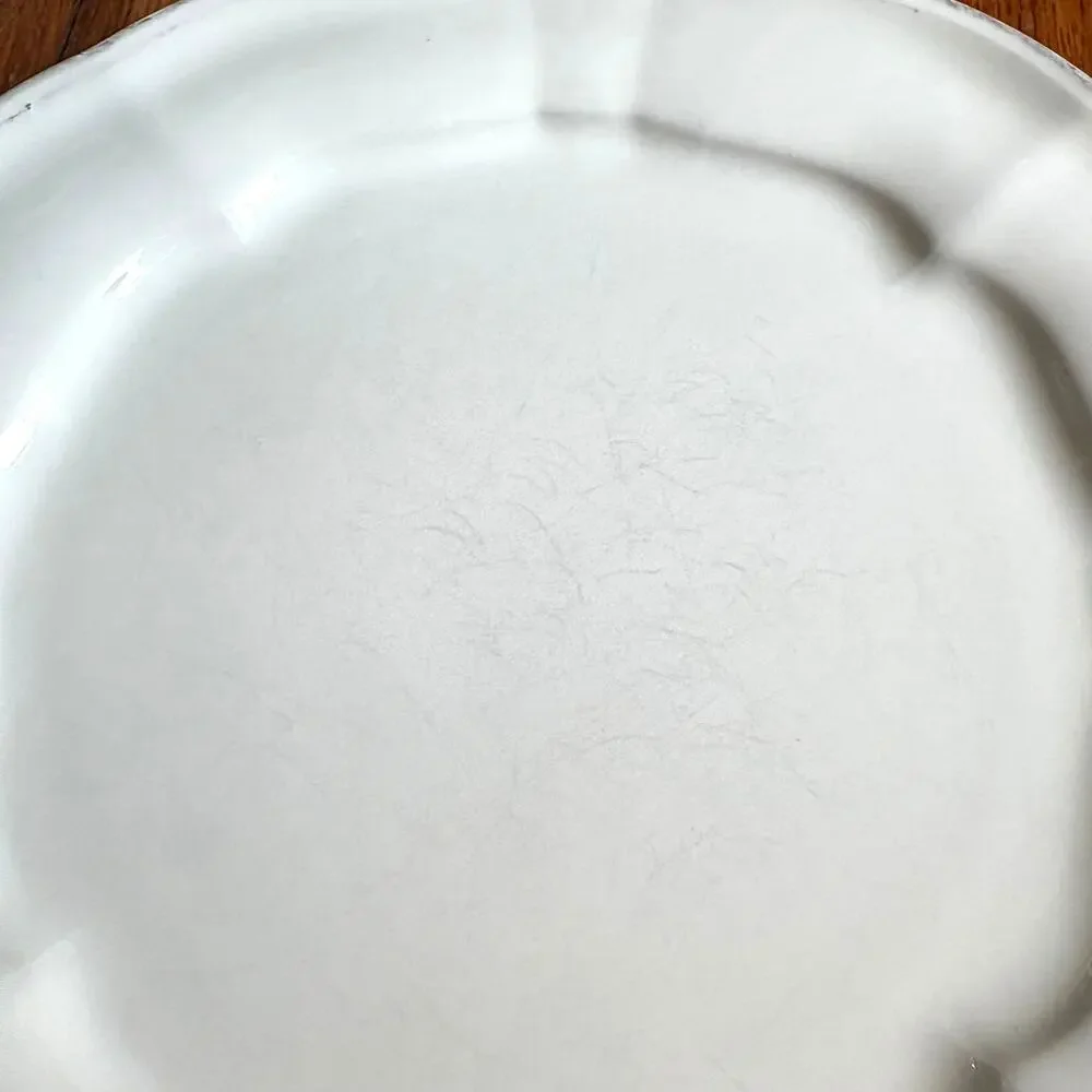 Set of 2 Toscano Cream Noble Excellence Dinner Plates